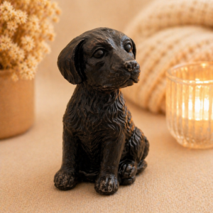 Chien Praline