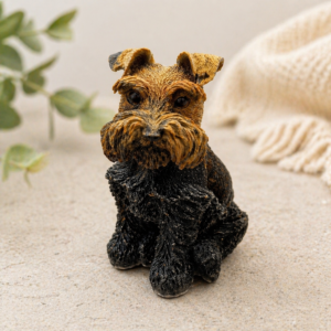 Chien Socrate